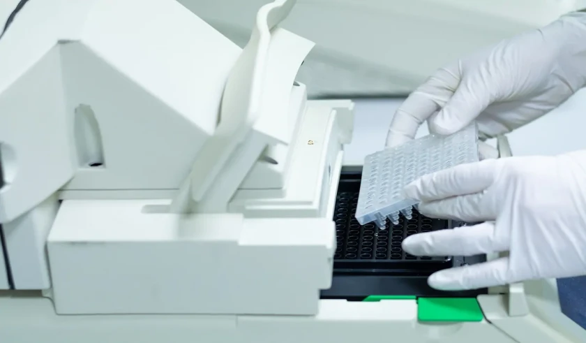Quantitative PCR services