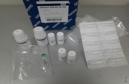 DNeasy Blood & Tissue Kit