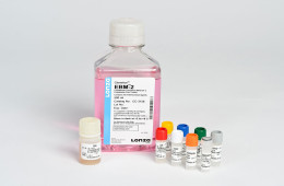 EGM®-2 Endothelial Cell Growth Medium-2 BulletKit