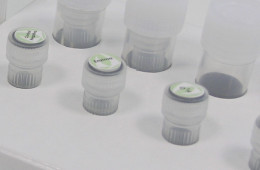 Standard PCR Master Mix Kit