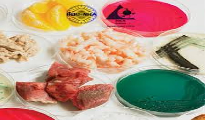 Food and Feed Analysis